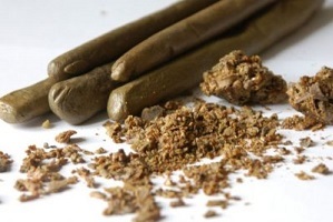 supposte di propoli per il trattamento della prostatite