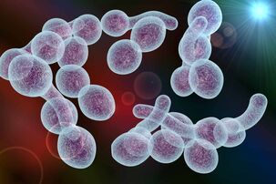 agente eziologico della prostatite batterica negli uomini